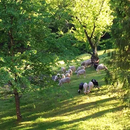 Maison Spacieuse à Saint-andré-de-valborgne Avec Jardin 120 M²